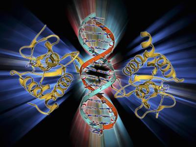 科学家以近原子分辨率绘制关键DNA蛋白复合物