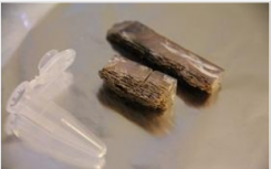 改善古生物基因组学