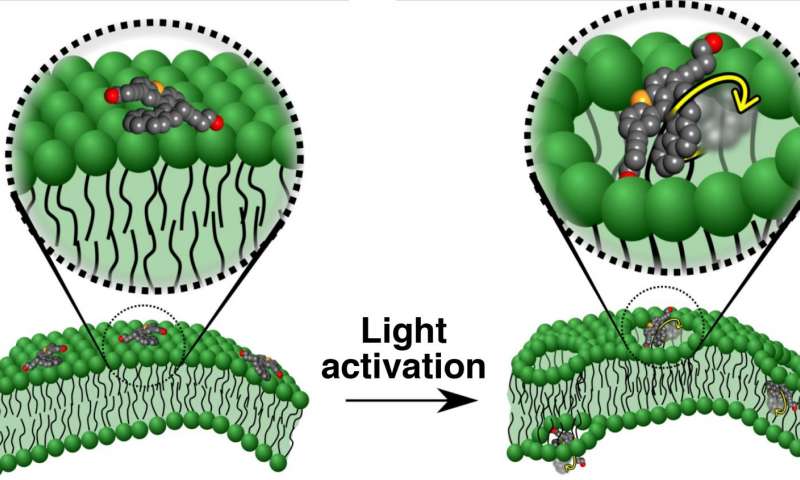 机动分子钻穿细胞 破坏病变细胞