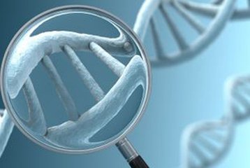 遗传学初创公司希望免费对人类的基因组进行测序