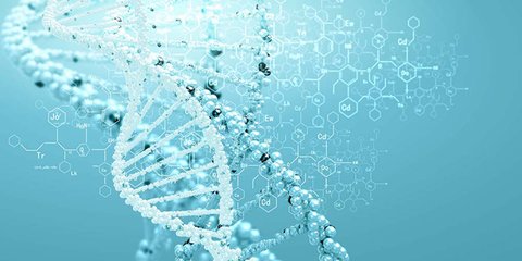 科学家编辑基因以阻止疾病遗传