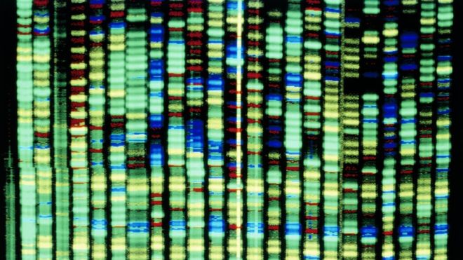 科学家发现了MS的遗传基因