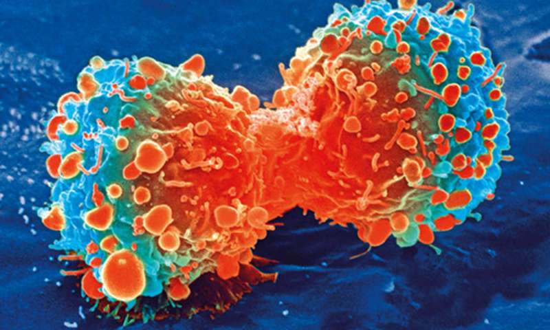 开拓性的研究癌症的新陈代谢