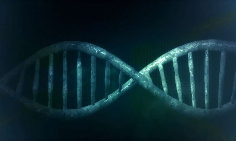 新技术更好地确定古代病毒DNA如何影响人类的基因