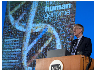 NHGRI座谈会纪念10日的人类基因组计划的周年