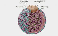 科学家们确定了影响“坏”胆固醇的四个基因