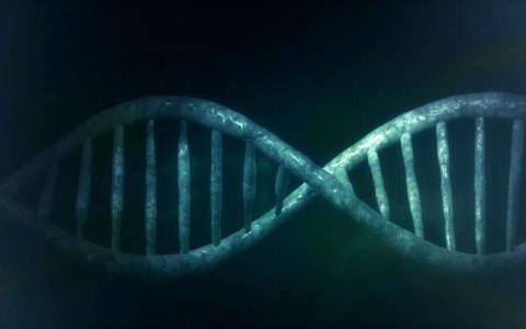 新技术更好地确定古代病毒DNA如何影响人类的基因