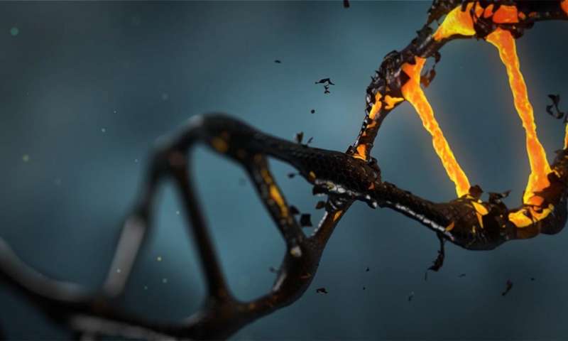 Synthetic Genomics推出了使用数字DNA打印生物制剂的数字生物转换器