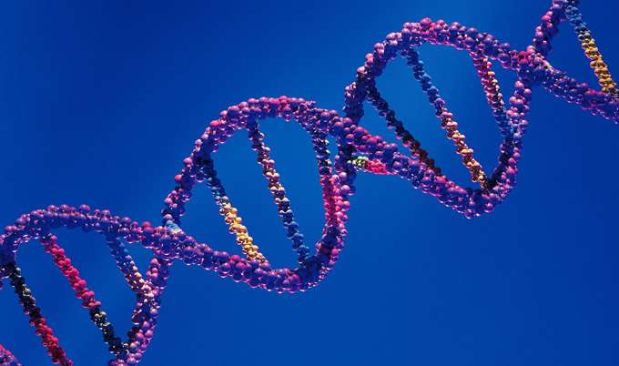 新的数字方法增强了对DNA化妆变化的理解