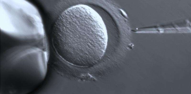 用CRISPR编辑人类胚胎正在向前发展   现在是制定道德规范的时候了