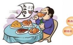 对脂肪代谢功能的新见解