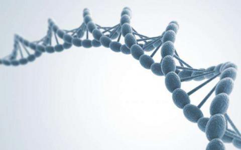 DNA测序和大数据为寻找新病毒开辟了新的前沿