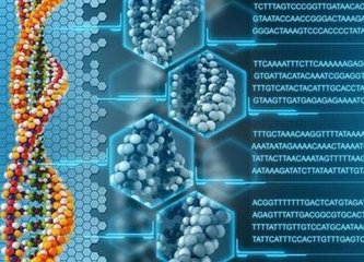 英国的婴儿现在如何合法地拥有来自三个人的DNA