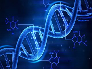 到2026年编写第一个人类基因组是合成生物学的重大挑战