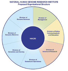 国家人类基因组研究所NHGRI宣布重组