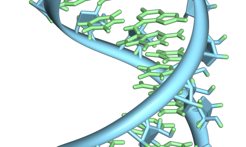 未发现CRISPR-Cas系统的新细菌防御机制