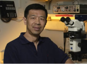 Paul Liu被任命为NHGRI副科学主任
