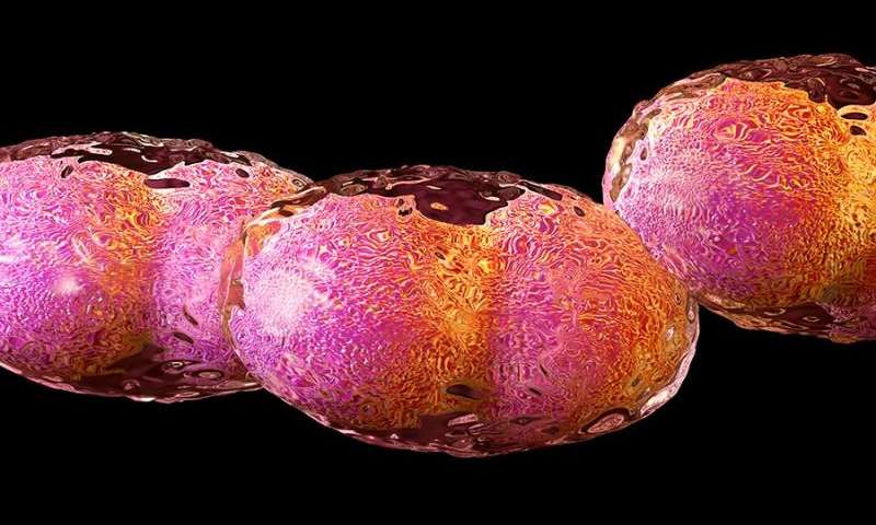 科学家在实验室中带回了已灭绝的马蹄毒病毒 引发了重要的生物安全问题