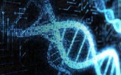 哈佛生物学家刚刚展示了最广泛的基因组再造