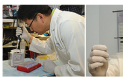研究人员确定影响地中海人群疾病的分子信号的关键
