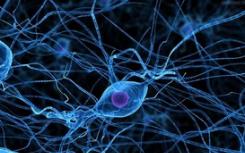 流感嗜血杆菌生物膜形成的团队研究机制