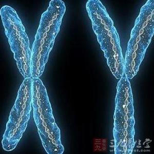 专家指出导致染色体不稳定的新因素