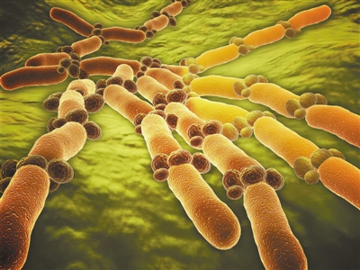 对人类皮肤微生物组的研究发现与年龄相关的古菌丰富