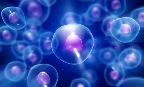 是什么让干细胞成为完美的allrounders