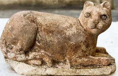 古代DNA揭示了近东和埃及在猫驯化中的作用