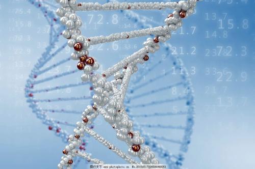 研究显示 动态DNA有助于抵御基因损伤
