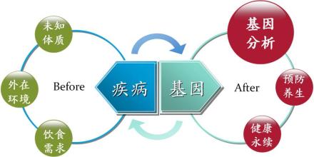 研究人员展示了癌症基因如何保护基因组组织