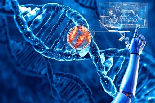 过度的DNA复制及其对抗癌症的潜在用途