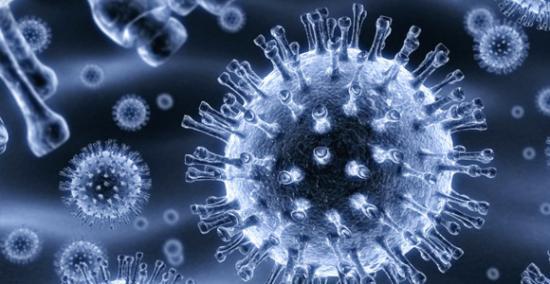 痘病毒的发现对疫苗和癌症有影响
