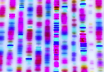 我进行了9次不同的商业DNA测试并获得了6种不同的结果