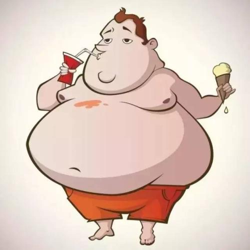 胖子感觉胖吗  尺寸感应蛋白控制脂肪细胞中的葡萄糖摄取和储存