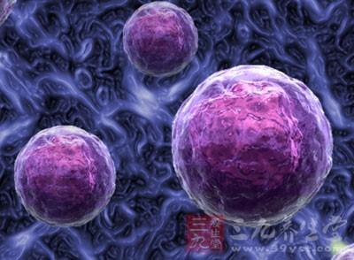 多瘤病毒如何欺骗我们的细胞 帮助它建立入侵途径