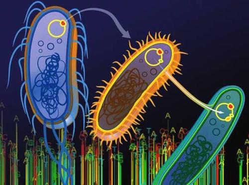 生物膜发现提出了预防危险感染的新方法