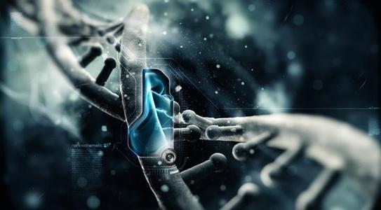 新的研究有助于解决我们的DNA组织中的一个神秘之处