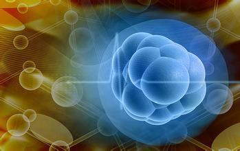 研究人员发现了生长干细胞的新方法
