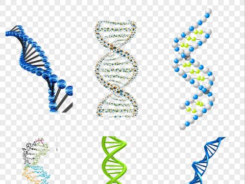 碘确保成功解决生物分子结构