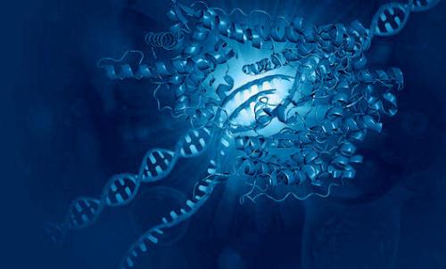 蓝细菌中的小RNA分子影响代谢驯化