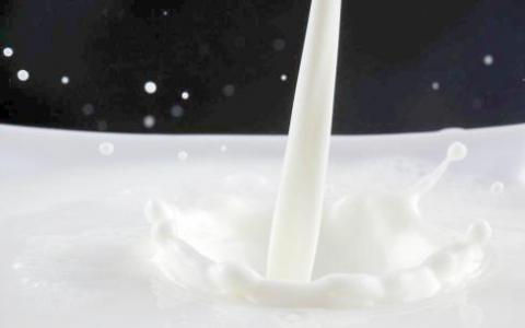 牛奶中新型抗生素抗性基因