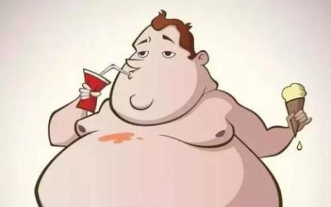 胖子感觉胖吗  尺寸感应蛋白控制脂肪细胞中的葡萄糖摄取和储存