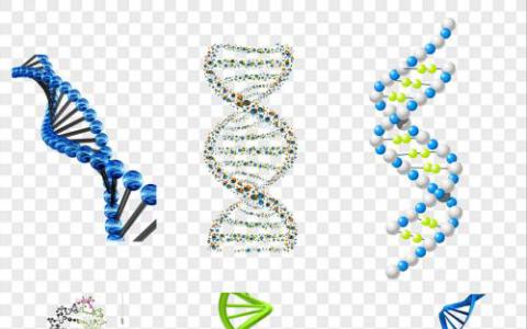 碘确保成功解决生物分子结构