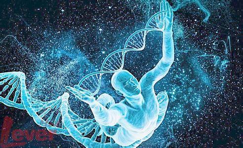 DNA修复的新见解
