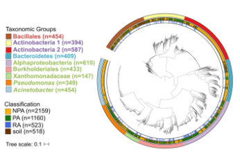 用于植物微生物组研究的功能基因组学数据库