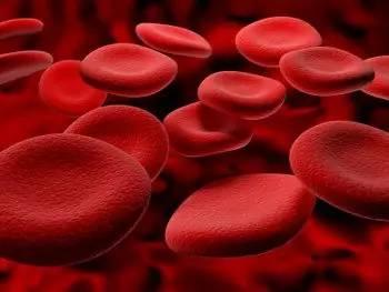 在人类发育过程中如何形成第一个血细胞