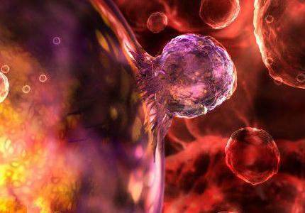 研究人员破译了人体如何控制干细胞