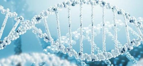 新的软件工具简化了DNA序列设计和构建过程