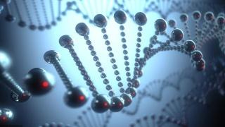 一种新的工具 用于基因工程最古老的生命分支